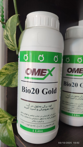 تاربخ تولید