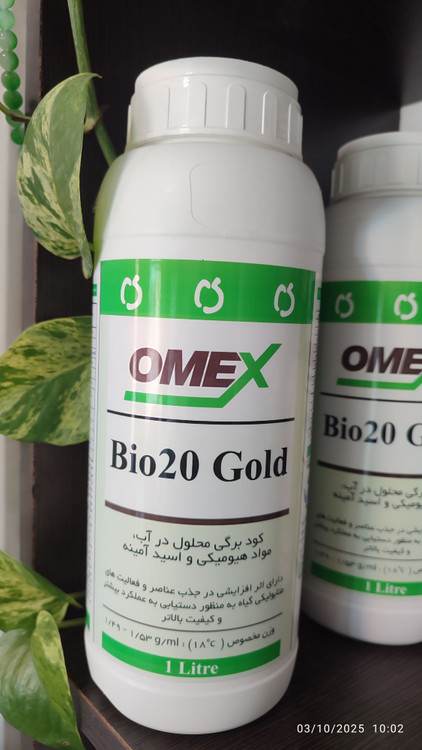 تاربخ تولید