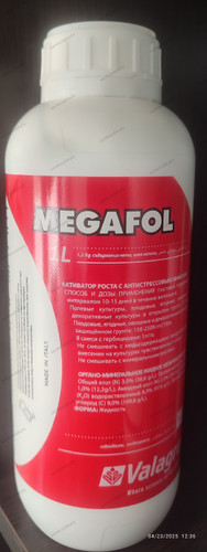 تاریخ تولید ۳۱/۰۱/۲۰۲۵