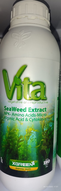 تاریخ تولید اکتبر ۲۰۲۴ انقضا ۴سال پس از تولید